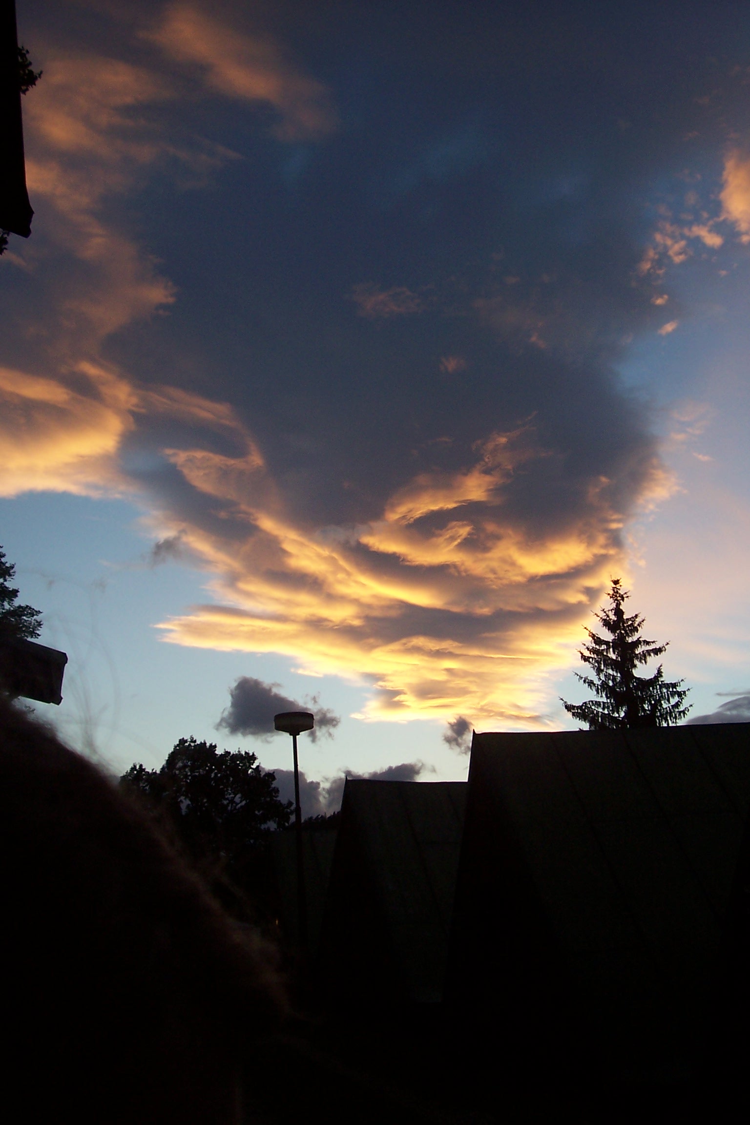 100_6549.jpg
