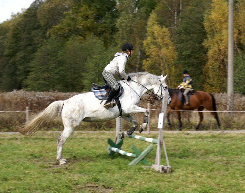 hubert07_03.jpg