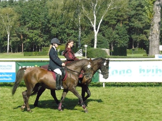 pce_2008_nastup_misa.JPG