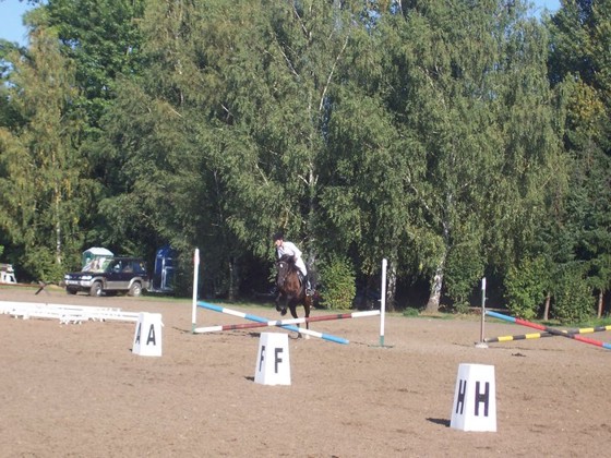 pce_2008_zrucnost_misa.jpg